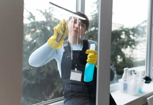 Nettoyage de vitres intérieures et extérieures à Marcilly-sur-Vienne